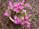 LANDSCAPE-PLANTERS-03.jpg (1548274 bytes)