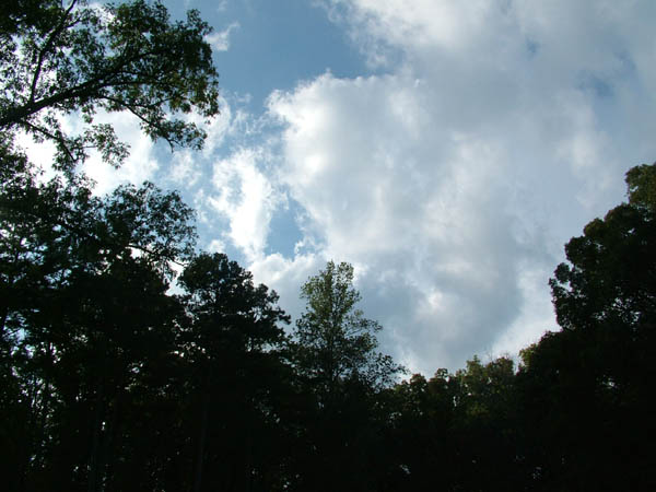 DSCF0806