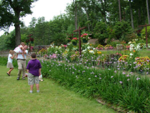 Multiple flower varieties